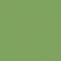 Краска Oikos Фасадная линия BIOCOMPACT ELASTIC Bio-elast-CP4350 зеленый — купить в Москве в интернет-магазине Snabimport