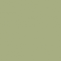 Краска Oikos Фасадная линия BIOCOMPACT ELASTIC Bio-elast-CP4450 зеленый — купить в Москве в интернет-магазине Snabimport