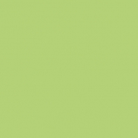 Краска Oikos Фасадная линия BIOCOMPACT ELASTIC Bio-elast-CP4510 зеленый