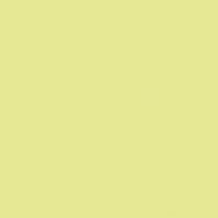 Краска Oikos Фасадная линия BIOCOMPACT ELASTIC Bio-elast-CP4580 желтый