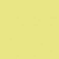 Краска Oikos Фасадная линия BIOCOMPACT ELASTIC Bio-elast-CP4590 желтый — купить в Москве в интернет-магазине Snabimport