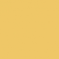 Краска Oikos Фасадная линия BIOCOMPACT ELASTIC Bio-elast-CP4610 желтый — купить в Москве в интернет-магазине Snabimport