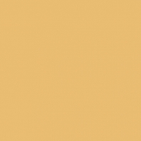 Краска Oikos Фасадная линия BIOCOMPACT ELASTIC Bio-elast-CP4690 желтый — купить в Москве в интернет-магазине Snabimport