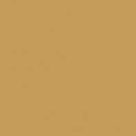 Краска Oikos Фасадная линия BIOCOMPACT ELASTIC Bio-elast-CP4710 коричневый — купить в Москве в интернет-магазине Snabimport