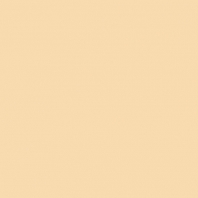 Краска Oikos Фасадная линия BIOCOMPACT ELASTIC Bio-elast-CP4840 желтый — купить в Москве в интернет-магазине Snabimport