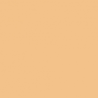 Краска Oikos Фасадная линия BIOCOMPACT ELASTIC Bio-elast-CP4860 коричневый — купить в Москве в интернет-магазине Snabimport