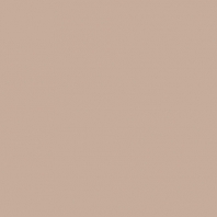 Краска Oikos Фасадная линия BIOCOMPACT ELASTIC Bio-elast-CP4950 коричневый — купить в Москве в интернет-магазине Snabimport