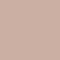 Краска Oikos Фасадная линия BIOCOMPACT ELASTIC Bio-elast-CP4960 коричневый — купить в Москве в интернет-магазине Snabimport