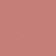 Краска Oikos Фасадная линия BIOCOMPACT ELASTIC Bio-elast-CP5000 коричневый