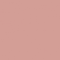 Краска Oikos Фасадная линия BIOCOMPACT ELASTIC Bio-elast-CP5020 коричневый — купить в Москве в интернет-магазине Snabimport