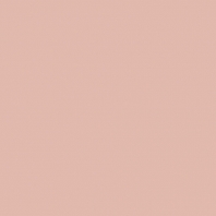 Краска Oikos Фасадная линия BIOCOMPACT ELASTIC Bio-elast-CP5030 коричневый — купить в Москве в интернет-магазине Snabimport