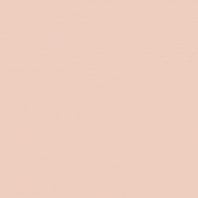 Краска Oikos Фасадная линия BIOCOMPACT ELASTIC Bio-elast-CP5040 Бежевый