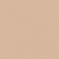 Краска Oikos Фасадная линия BIOCOMPACT ELASTIC Bio-elast-CP5080 коричневый — купить в Москве в интернет-магазине Snabimport