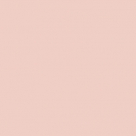 Краска Oikos Фасадная линия BIOCOMPACT ELASTIC Bio-elast-CP5120 Бежевый — купить в Москве в интернет-магазине Snabimport