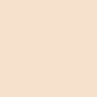 Краска Oikos Фасадная линия BIOCOMPACT ELASTIC Bio-elast-CP5140 Бежевый