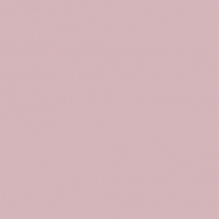 Краска Oikos Фасадная линия BIOCOMPACT ELASTIC Bio-elast-CP5160 Фиолетовый — купить в Москве в интернет-магазине Snabimport