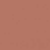 Краска Oikos Фасадная линия BIOCOMPACT ELASTIC Bio-elast-CP5250 коричневый — купить в Москве в интернет-магазине Snabimport