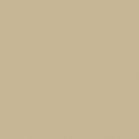 Краска Oikos Фасадная линия BIOCOMPACT ELASTIC Bio-elast-CP5270 коричневый — купить в Москве в интернет-магазине Snabimport