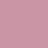 Краска Oikos Фасадная линия BIOCOMPACT ELASTIC Bio-elast-CP5490 Фиолетовый — купить в Москве в интернет-магазине Snabimport