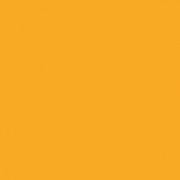 Краска Oikos Фасадная линия BIOCOMPACT ELASTIC Bio-elast-ED2295 желтый — купить в Москве в интернет-магазине Snabimport