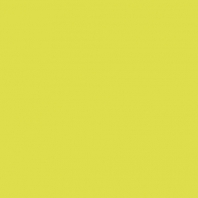 Краска Oikos Фасадная линия BIOCOMPACT ELASTIC Bio-elast-ED2385 желтый — купить в Москве в интернет-магазине Snabimport