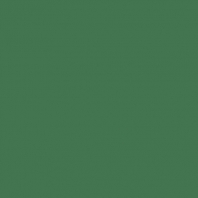 Краска Oikos Фасадная линия BIOCOMPACT ELASTIC Bio-elast-ED2445 зеленый — купить в Москве в интернет-магазине Snabimport