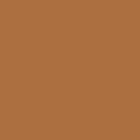 Краска Oikos Фасадная линия BIOCOMPACT ELASTIC Bio-elast-EX1300 коричневый — купить в Москве в интернет-магазине Snabimport