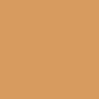 Краска Oikos Фасадная линия BIOCOMPACT ELASTIC Bio-elast-EX1330 коричневый — купить в Москве в интернет-магазине Snabimport