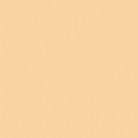 Краска Oikos Фасадная линия BIOCOMPACT ELASTIC Bio-elast-EX1450 оранжевый — купить в Москве в интернет-магазине Snabimport