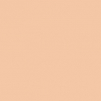 Краска Oikos Фасадная линия BIOCOMPACT ELASTIC Bio-elast-EX1560 коричневый — купить в Москве в интернет-магазине Snabimport