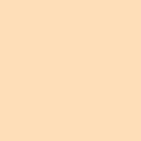 Краска Oikos Фасадная линия BIOCOMPACT ELASTIC Bio-elast-EX1580 Бежевый — купить в Москве в интернет-магазине Snabimport