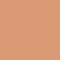 Краска Oikos Фасадная линия BIOCOMPACT ELASTIC Bio-elast-EX1660 коричневый — купить в Москве в интернет-магазине Snabimport