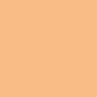 Краска Oikos Фасадная линия BIOCOMPACT ELASTIC Bio-elast-EX1700 оранжевый — купить в Москве в интернет-магазине Snabimport