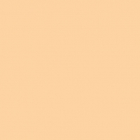 Краска Oikos Фасадная линия BIOCOMPACT ELASTIC Bio-elast-EX1720 оранжевый