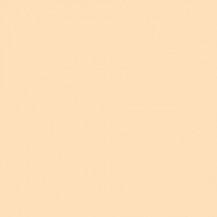 Краска Oikos Фасадная линия BIOCOMPACT ELASTIC Bio-elast-EX1730 Бежевый — купить в Москве в интернет-магазине Snabimport