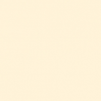 Краска Oikos Фасадная линия BIOCOMPACT ELASTIC Bio-elast-EX1750 Бежевый — купить в Москве в интернет-магазине Snabimport