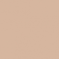 Краска Oikos Фасадная линия BIOCOMPACT ELASTIC Bio-elast-EX1850 коричневый — купить в Москве в интернет-магазине Snabimport