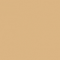 Краска Oikos Фасадная линия BIOCOMPACT ELASTIC Bio-elast-EX1980 коричневый — купить в Москве в интернет-магазине Snabimport