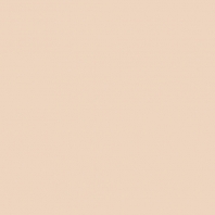 Краска Oikos Фасадная линия BIOCOMPACT ELASTIC Bio-elast-EX2080 коричневый — купить в Москве в интернет-магазине Snabimport