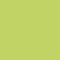 Краска Oikos Фасадная линия BIOCOMPACT ELASTIC Bio-elast-EX2960 зеленый