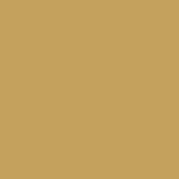 Краска Oikos Фасадная линия BIOCOMPACT ELASTIC Bio-elast-EX3060 коричневый — купить в Москве в интернет-магазине Snabimport