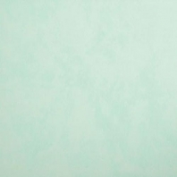 Краска Oikos Фасадная линия BIOCOMPACT ELASTIC Bio-elast-TL194 голубой — купить в Москве в интернет-магазине Snabimport