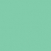 Краска Oikos Фасадная линия BIOCOMPACT ELASTIC Bio-elast-TL203 зеленый — купить в Москве в интернет-магазине Snabimport