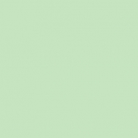 Краска Oikos Фасадная линия BIOCOMPACT ELASTIC Bio-elast-TL233 зеленый — купить в Москве в интернет-магазине Snabimport