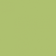 Краска Oikos Фасадная линия BIOCOMPACT ELASTIC Bio-elast-TL271 зеленый — купить в Москве в интернет-магазине Snabimport