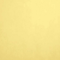 Краска Oikos Фасадная линия BIOCOMPACT ELASTIC Bio-elast-TL283 желтый — купить в Москве в интернет-магазине Snabimport