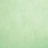 Краска Oikos Фасадная линия BIOCOMPACT ELASTIC Bio-elast-TL303 зеленый — купить в Москве в интернет-магазине Snabimport