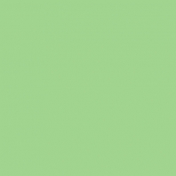 Краска Oikos Фасадная линия BIOCOMPACT ELASTIC Bio-elast-TL323 зеленый — купить в Москве в интернет-магазине Snabimport