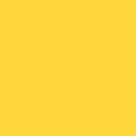 Краска Oikos Фасадная линия BIOCOMPACT ELASTIC Bio-elast-TL362 желтый — купить в Москве в интернет-магазине Snabimport