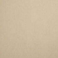 Краска Oikos Фасадная линия BIOCOMPACT ELASTIC Bio-elast-TL383 Серый